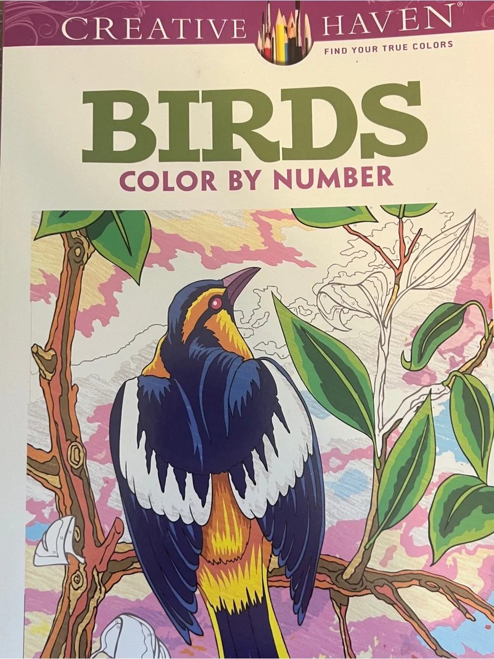 Adult Coloring Books Flowers Butterflies Birds Garden